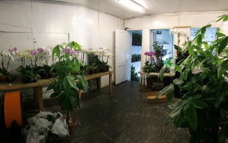Enlarge photo 19