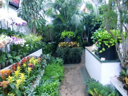 Enlarge photo 24