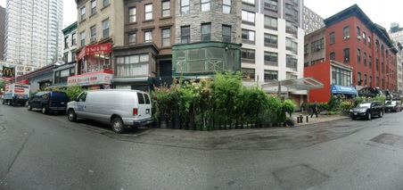 Paradise Plants