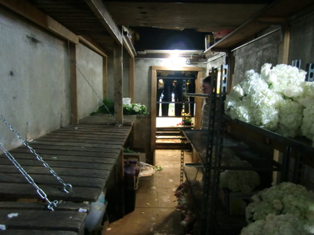 Enlarge photo 12