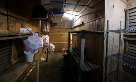 Enlarge photo 27