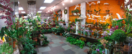 Enlarge photo 9