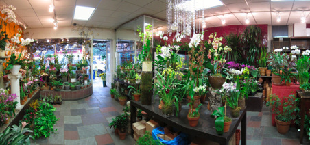 Enlarge photo 10