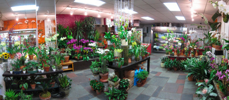 Enlarge photo 11