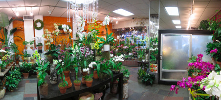 Enlarge photo 12