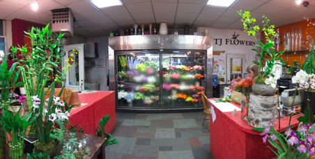 Enlarge photo 15