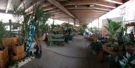Enlarge photo 5