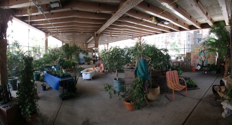 Enlarge photo 7