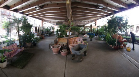 Enlarge photo 8