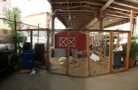 Enlarge photo 16