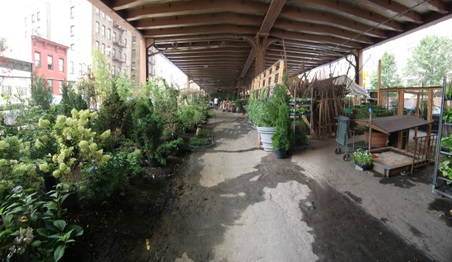Enlarge photo 20