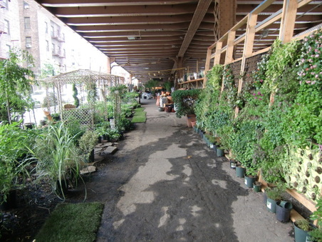Enlarge photo 21