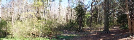Bailey Arboretum