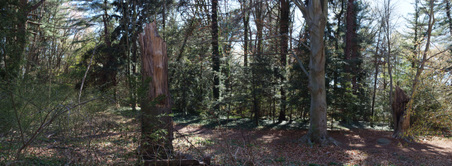 Enlarge photo 2