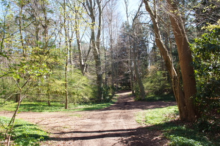 Enlarge photo 5