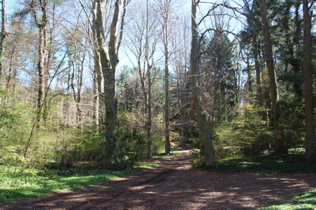 Enlarge photo 6