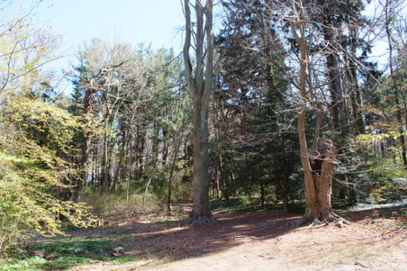 Enlarge photo 8