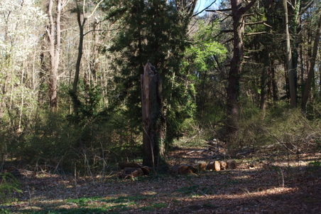 Enlarge photo 9