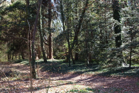 Enlarge photo 10