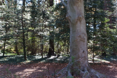Enlarge photo 11