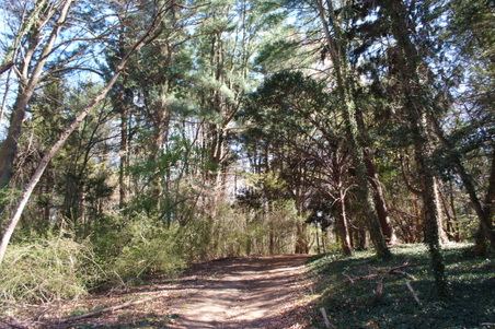 Enlarge photo 12