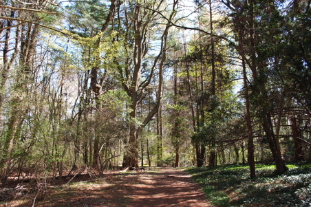 Enlarge photo 14