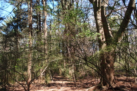 Enlarge photo 15