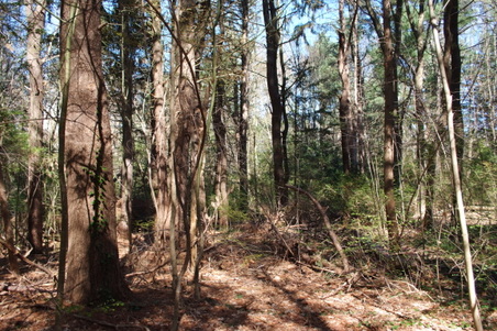 Enlarge photo 16