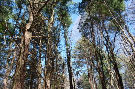 Enlarge photo 17