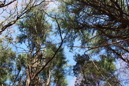 Enlarge photo 18