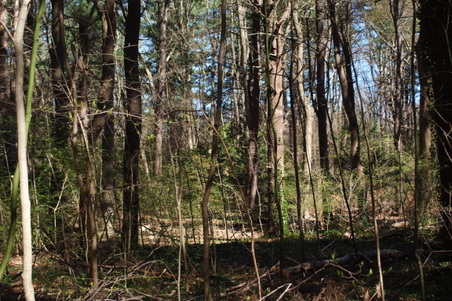 Enlarge photo 19