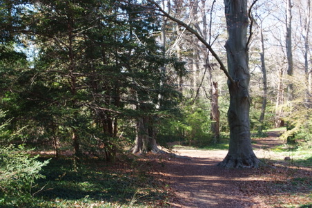 Enlarge photo 21