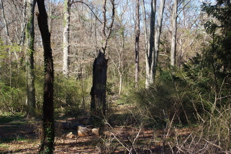 Enlarge photo 22