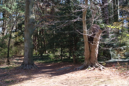 Enlarge photo 23
