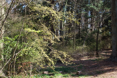 Enlarge photo 24