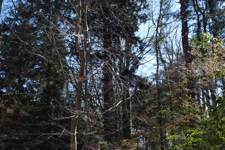 Enlarge photo 25