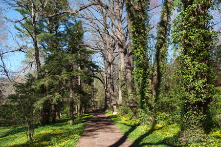 Enlarge photo 26