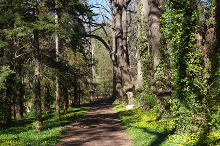 Enlarge photo 27