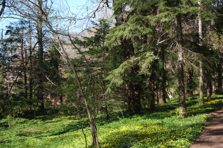 Enlarge photo 28
