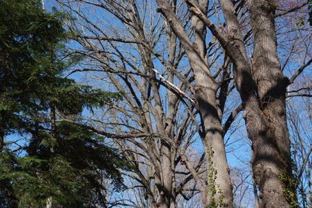 Enlarge photo 29