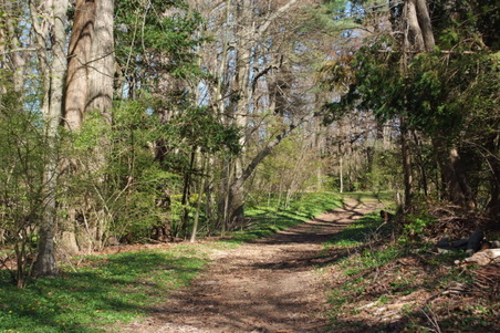 Enlarge photo 31