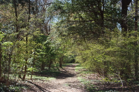 Enlarge photo 32