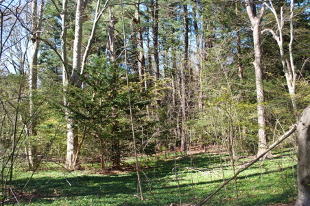 Enlarge photo 33