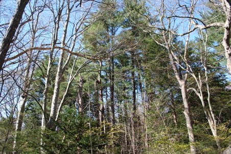 Enlarge photo 34