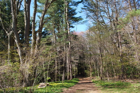 Enlarge photo 35