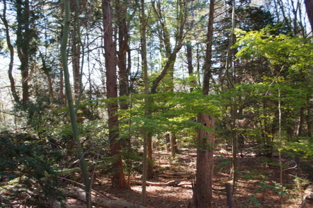 Enlarge photo 36