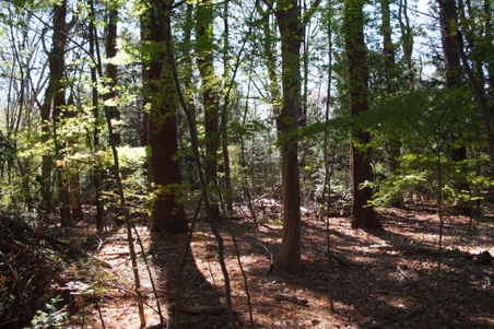 Enlarge photo 37
