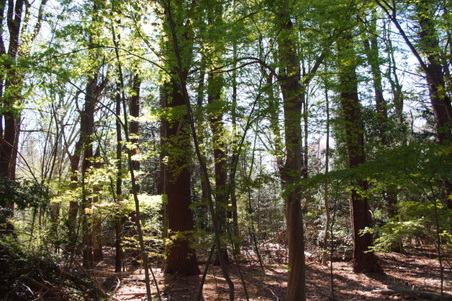 Enlarge photo 38