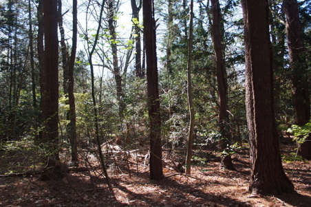 Enlarge photo 39