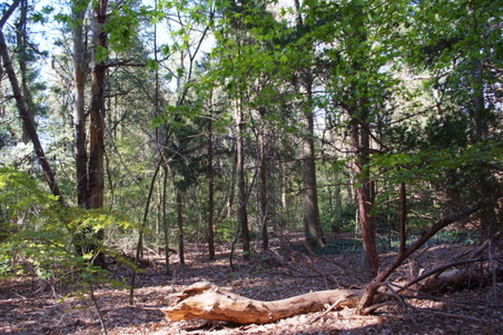 Enlarge photo 40